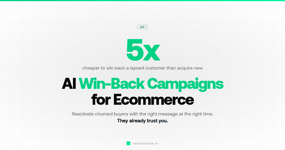 AI-Powered Customer Win-Back Campaigns for Ecommerce