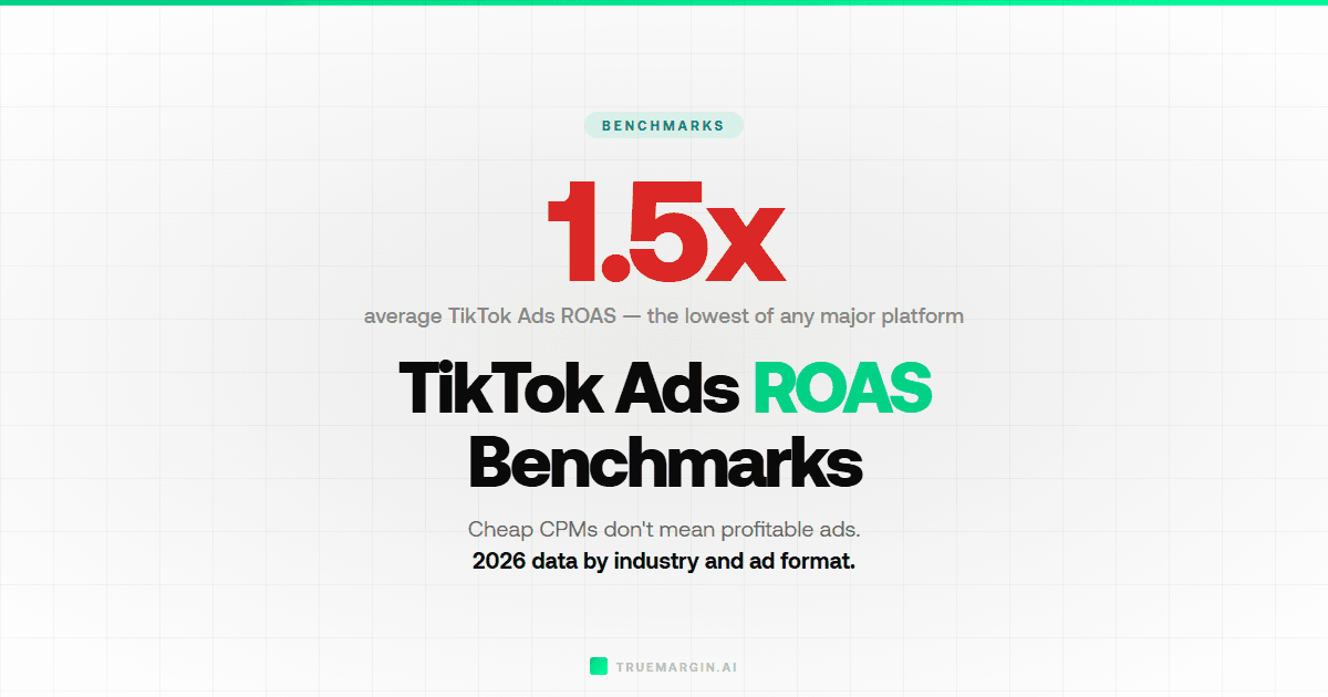 TikTok Ads ROAS Benchmarks for Ecommerce (2026 Data)